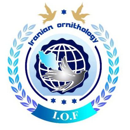 موسسه پرنده شناسی فرتاک ایرانیان